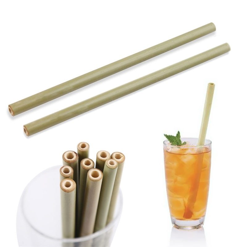 Biodegradable Bamboo Drinking Straw - Earthly Boutique