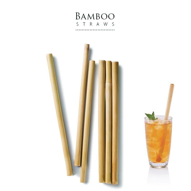 Biodegradable Bamboo Drinking Straw - Earthly Boutique