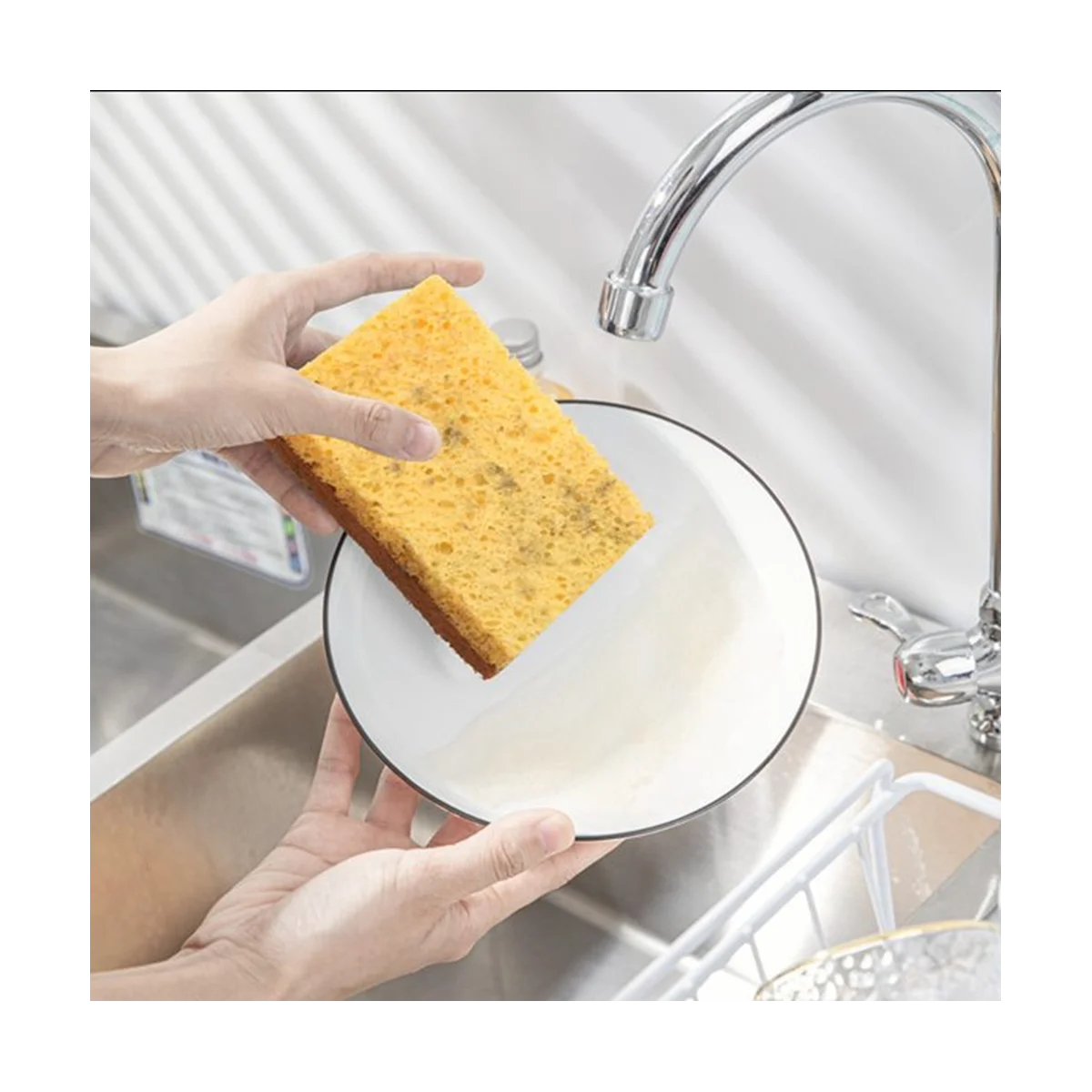 Biodegradable Sponges – Eco-Friendly Palm Fiber Kitchen Scrubbers - Earthly Boutique